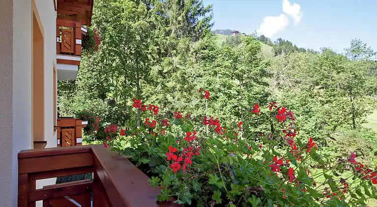 Apartment in Kleinarl