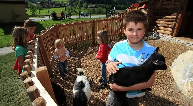 Appartement in Großarl