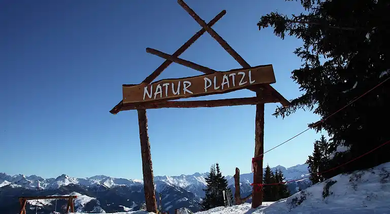 Appartement in Großarl