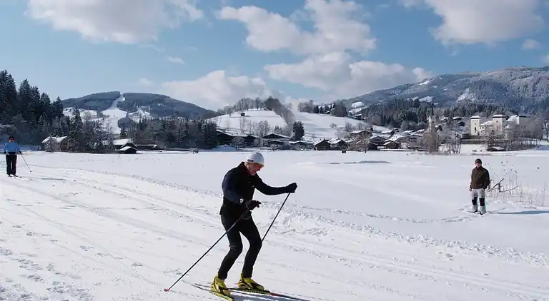 Manor house in Goldegg