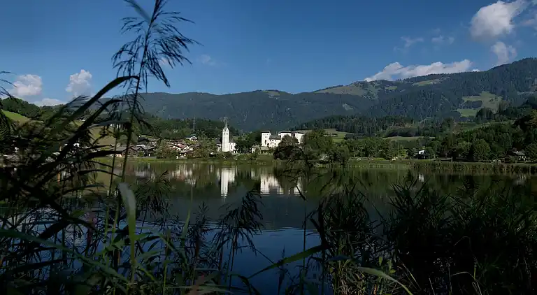 Manor house in Goldegg