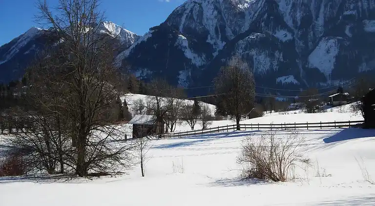 Herregård i Goldegg