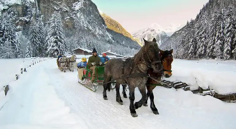 Apartment in Gadaunern