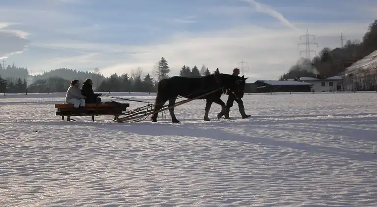 Apartment in Heuberg