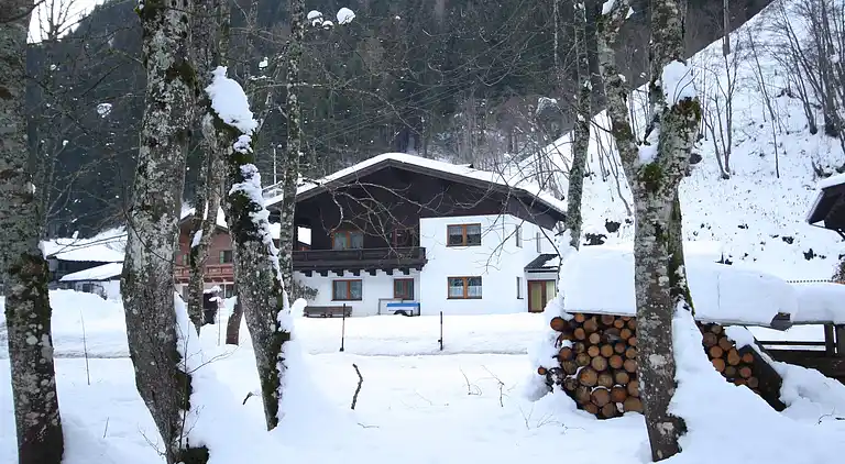 Apartment in Dienten am Hochkönig