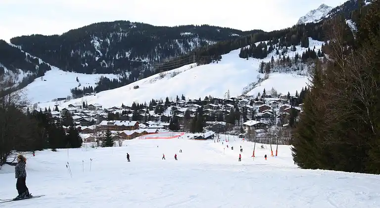 Apartment in Dienten am Hochkönig