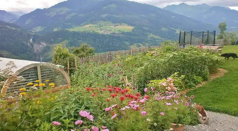 Ferielejlighed i Taxenbach