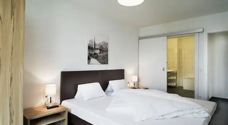 Apartment in Zell am See