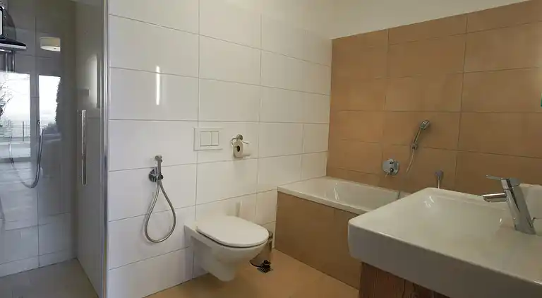 Ferielejlighed i Zell am See