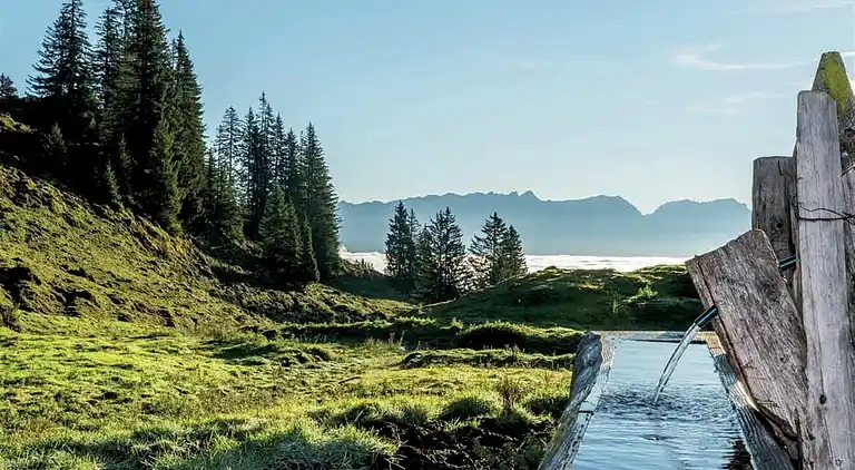 Cottage in Piesendorf