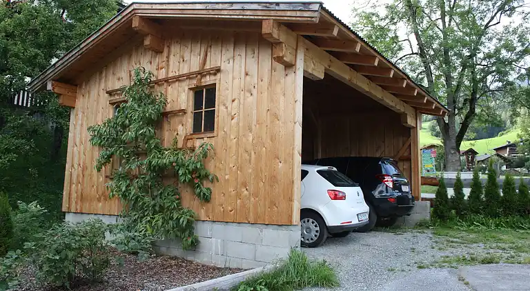 Apartment in Piesendorf