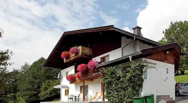 Apartment in Niedernsill