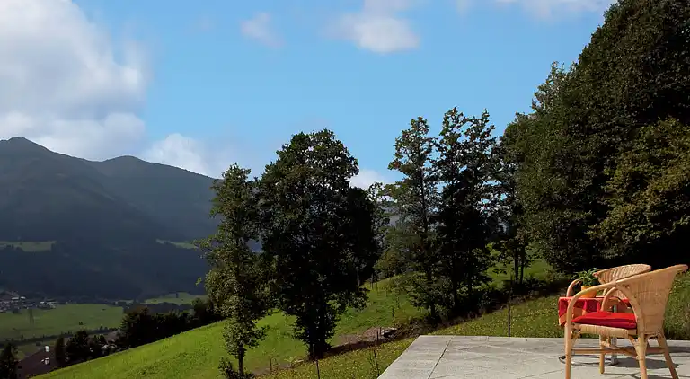 Apartment in Niedernsill