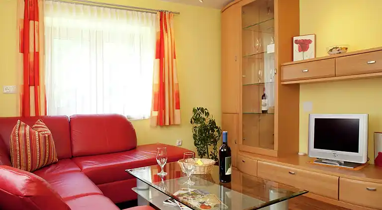 Apartment in Niedernsill