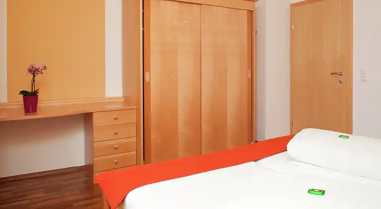 Apartment in Niedernsill