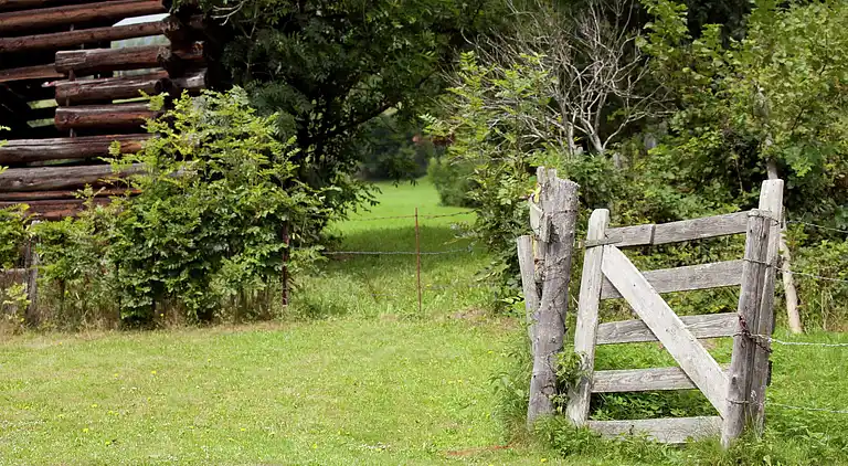 Apartment in Niedernsill