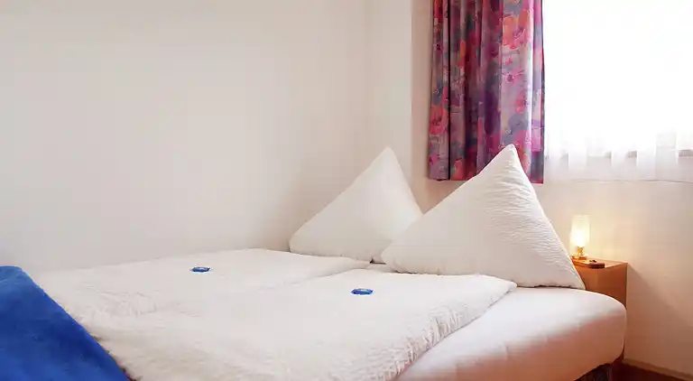 Apartment in Niedernsill