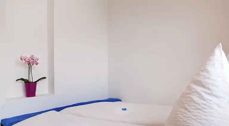 Apartment in Niedernsill