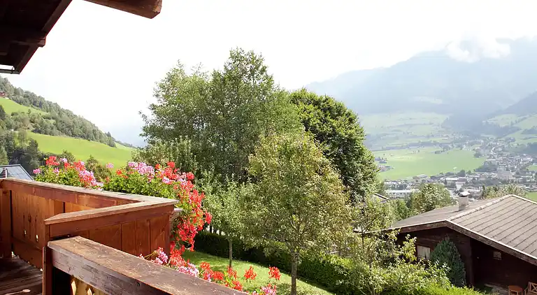 Apartment in Niedernsill