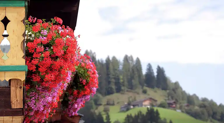 Apartment in Niedernsill