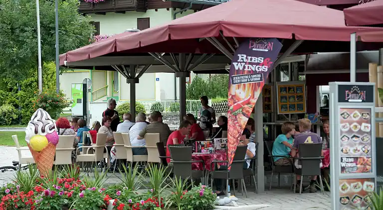 Apartment in Niedernsill