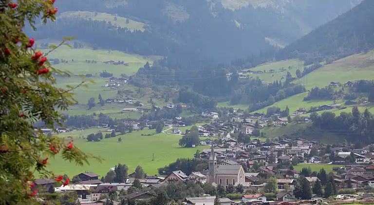 Apartment in Niedernsill