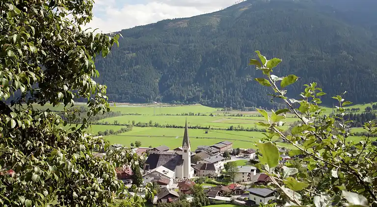 Apartment in Stuhlfelden