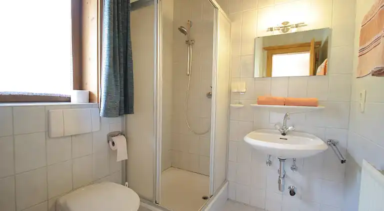 Apartment in Mittersill