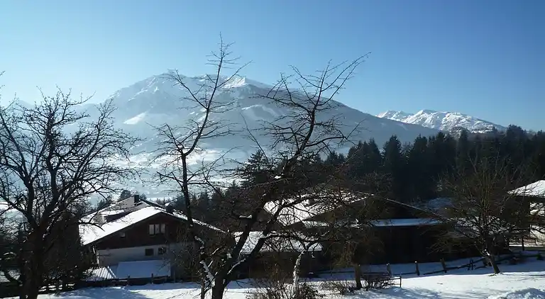 Apartment in Mittersill