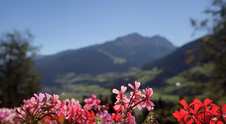 Apartment in Mittersill