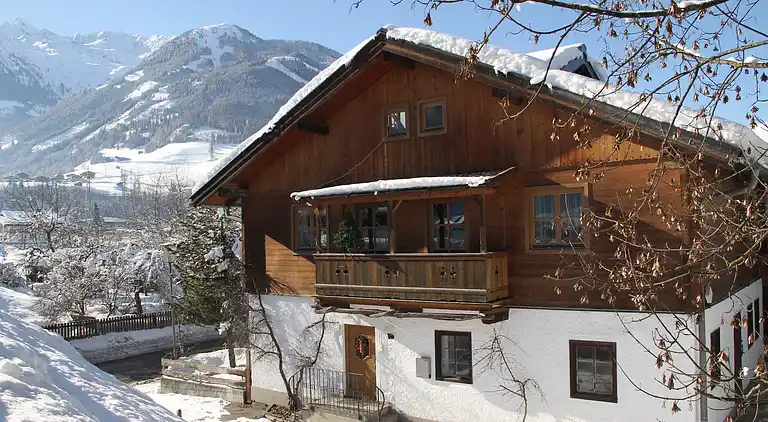 Apartment in Mittersill