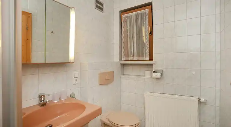 Apartment in Mittersill