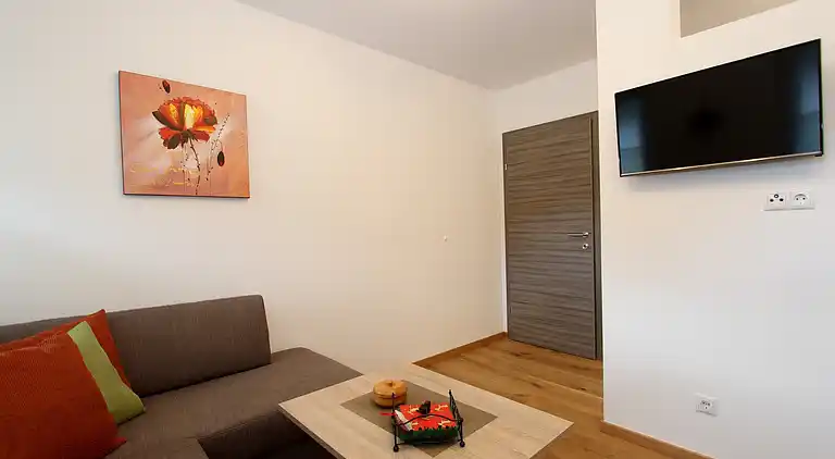 Apartment in Mittersill