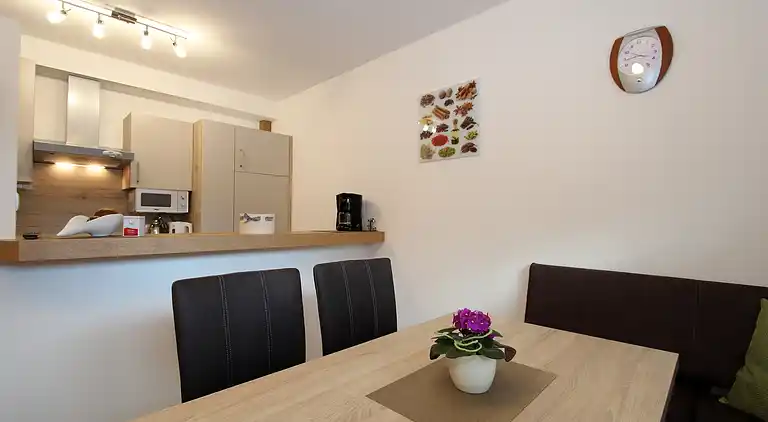 Apartment in Mittersill