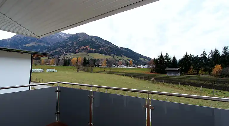 Apartment in Mittersill