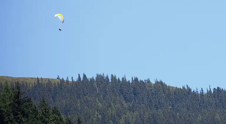 Apartment in Hollersbach im Pinzgau