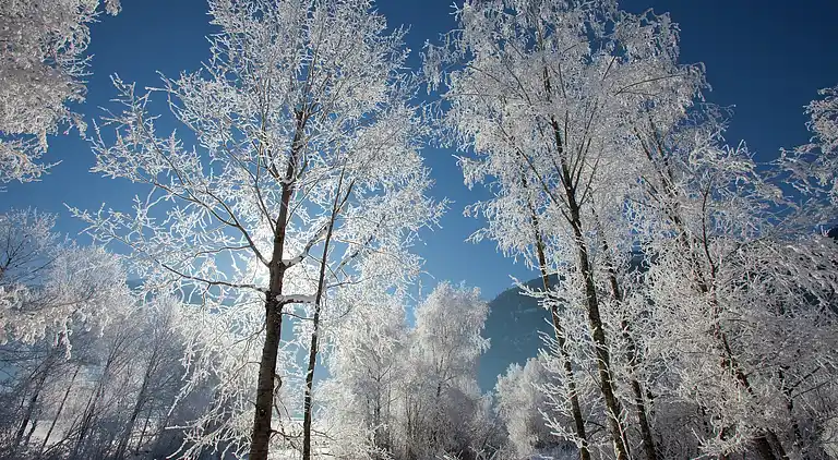 Hytte i Hollersbach im Pinzgau