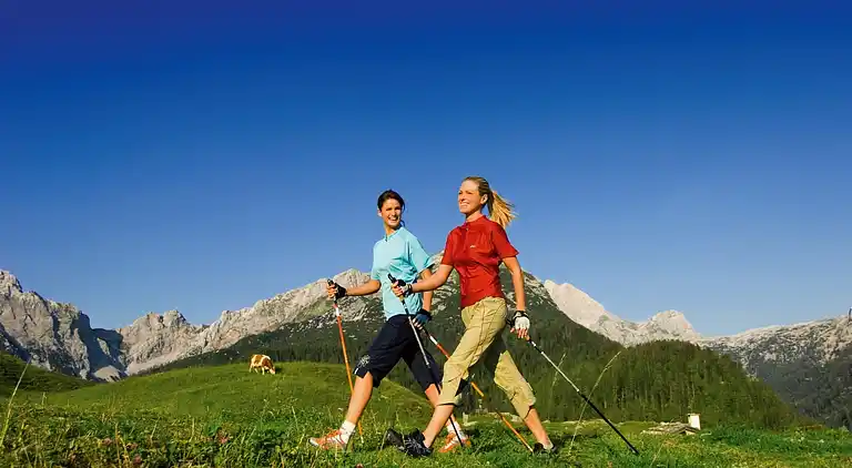 Ferielejlighed i Bramberg am Wildkogel