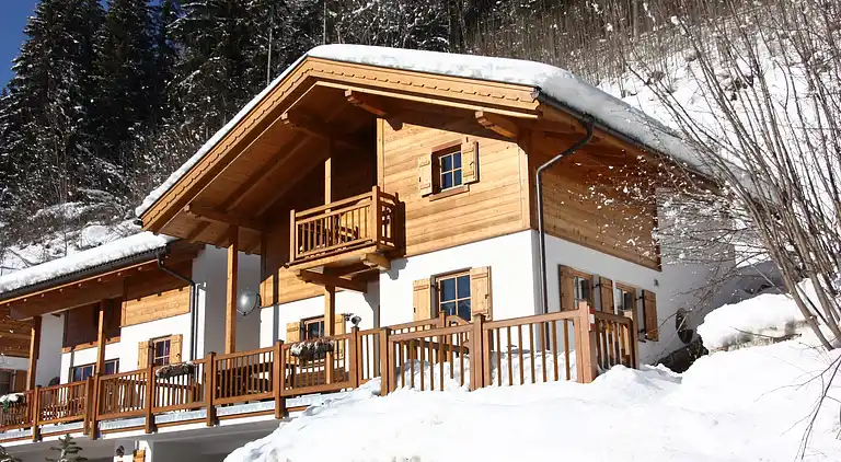 Cottage in Wald im Pinzgau