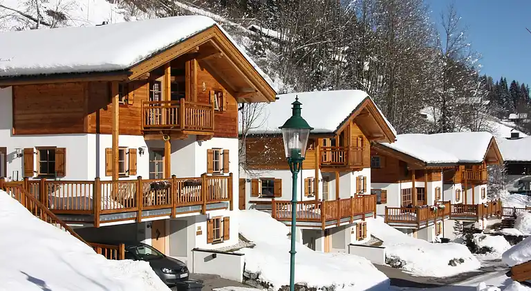 Cottage in Wald im Pinzgau