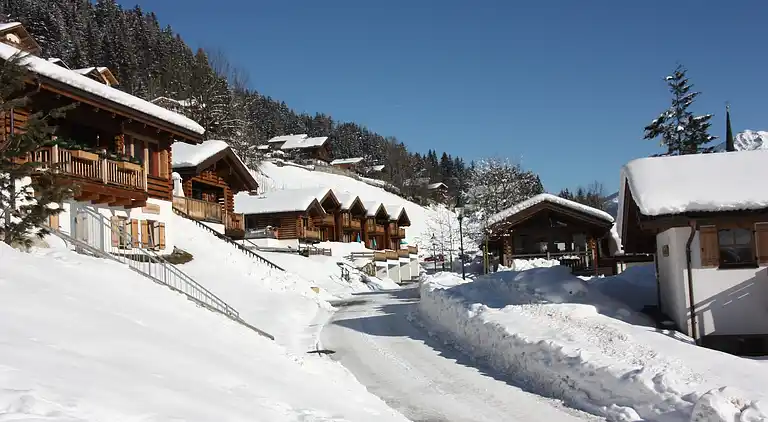 Cottage in Wald im Pinzgau