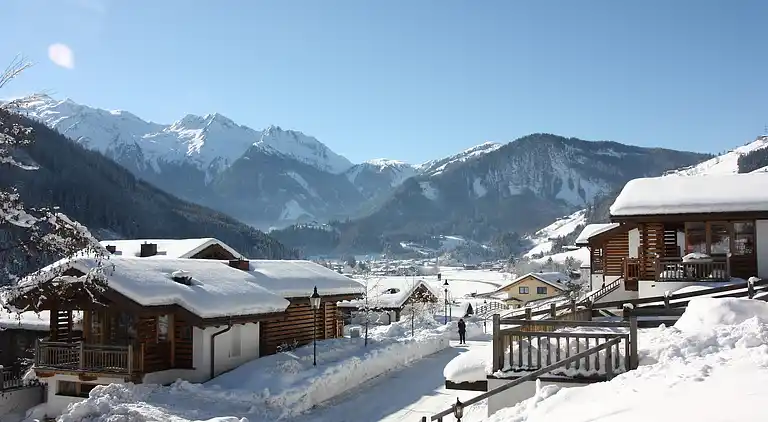 Cottage in Wald im Pinzgau
