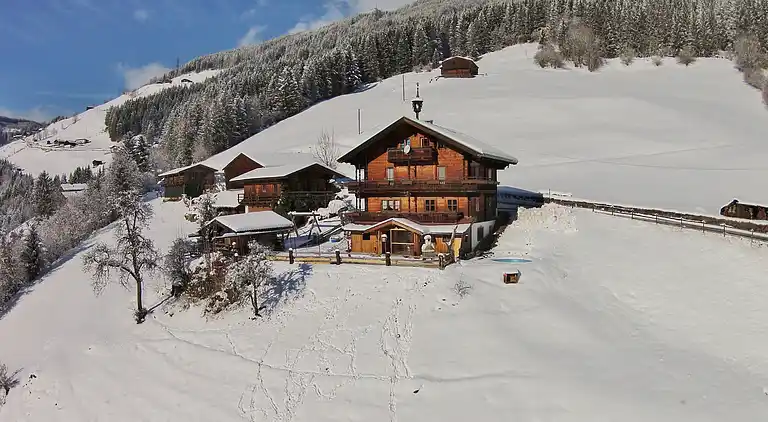 Cottage in Wald im Pinzgau