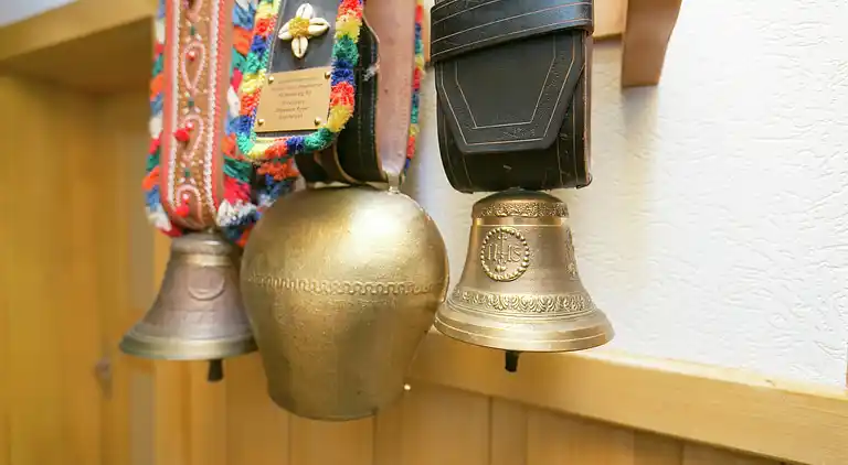 Cottage in Wald im Pinzgau