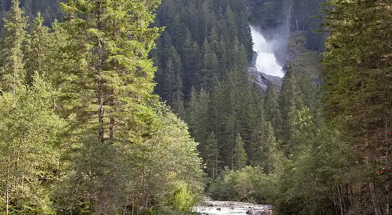 Cottage in Wald im Pinzgau