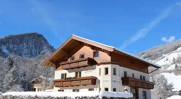 Apartment in Wald im Pinzgau