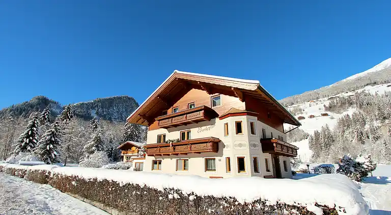 Apartment in Wald im Pinzgau