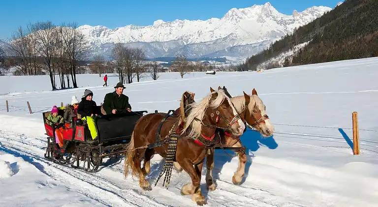 Apartment in Viehhofen