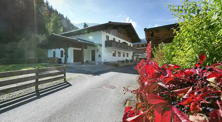 Apartment in Viehhofen