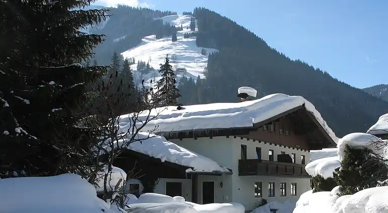 Apartment in Viehhofen